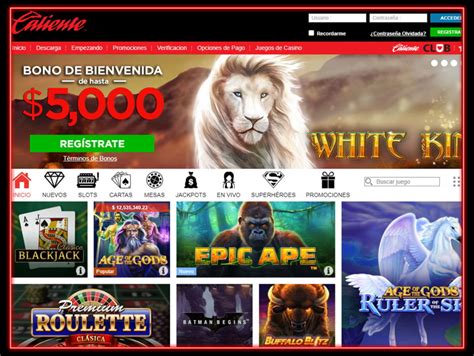 casino caliente🔥 online|caliente casino owner.